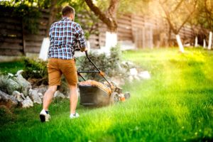 Landscaping Tips - What Are the Different Types of Lawn Mowers